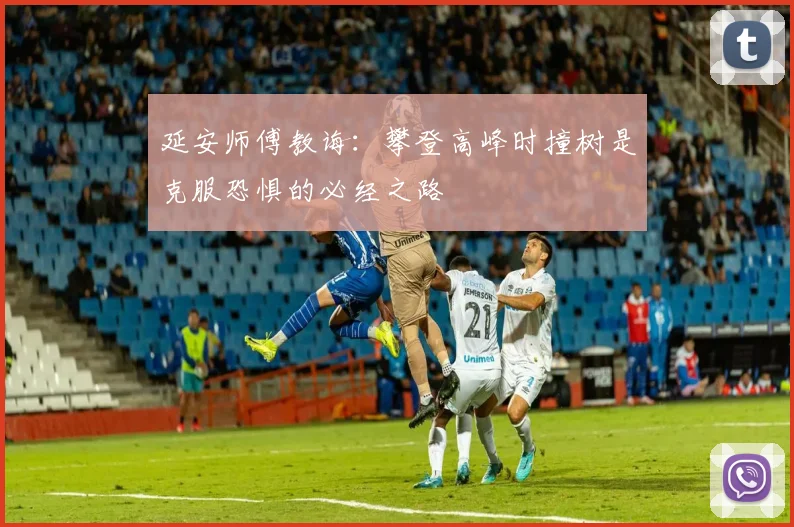 延安师傅教诲：攀登高峰时撞树是克服恐惧的必经之路